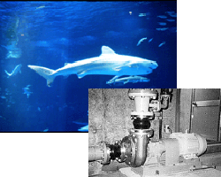 Self-Priming Centrifugal Pump UHN, Used in many aquariums, YOKOTA Seawater Pumps made of YST Alloy